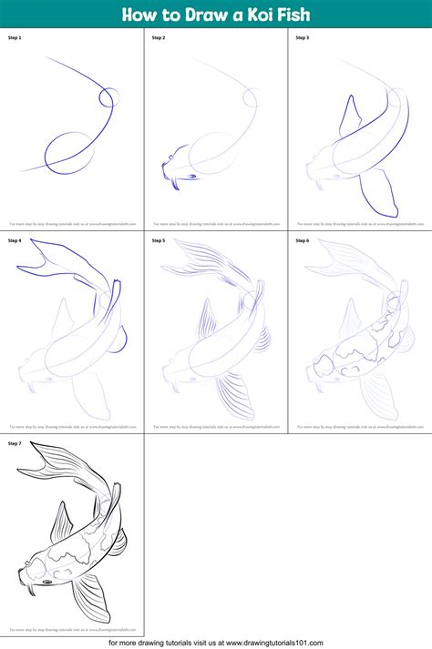 How To Draw A Koi Fish Step By Step