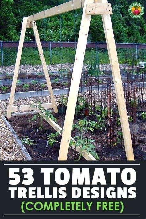 How To Build A Trellis For Tomatoes Encycloall