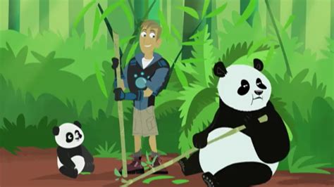 Panda Power Up Wild Kratts Wiki Fandom Powered By Wikia