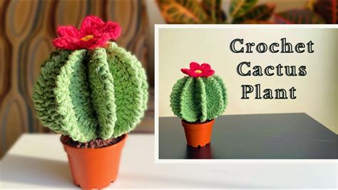 Crochet Cactus Ball Cactus Tutorial Youtube