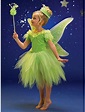 Love the shape of this tinkerbelle tutu :) | Girls tinkerbell costume ...