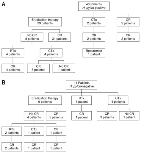Gastric marginal zone lymphoma of malt type: Treatment outcomes for gastric mucosa-associated lymphoid ...