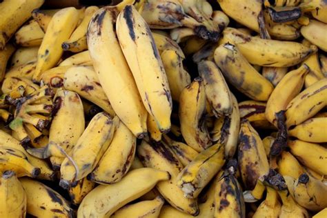 Who Let 110000 Cartons Of Bananas Go Bad Gcaptain