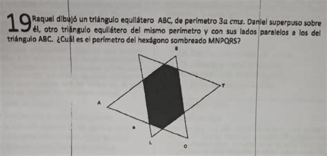 Raquel Dibujó Un Triángulo Equilátero Abc De Perímetro 3a Cms Daniel