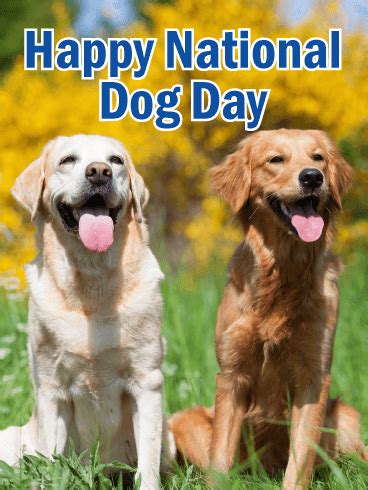 Thursday is national dog day. National Dog Day Cards 2020, Happy National Dog Day ...