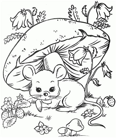 1000 Images About Coloring Pages On Pinterest Animal Coloring Pages
