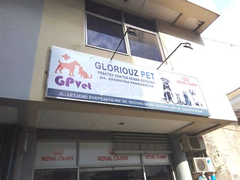 Indicado para cães com sensibilidade articular. Praktek Dokter Hewan Terdekat - Bimbel Kedokteran UMY