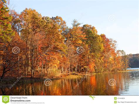Colorful Lakeside Treeline Stock Photo Image Of Carolina 47444824