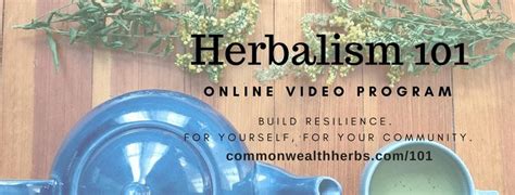 Herbalism 101 Online Video Program · Commonwealth Holistic Herbalism