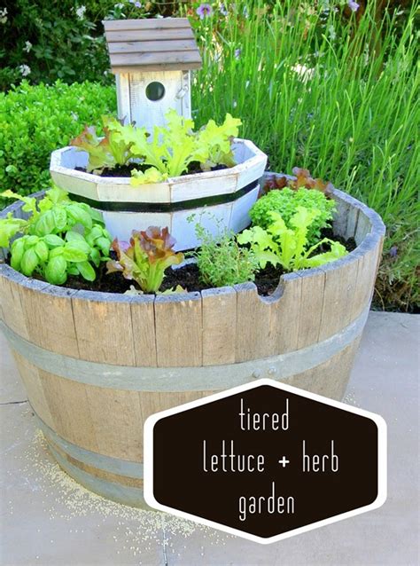 Tiered Lettuce Garden Link Party Centsational Style