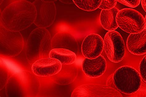Red Blood Cells Streaming Of Human Blood Cells Stock Photo Download