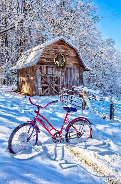 Snowy Surprise Is A Photograph By Debra And Dave Vanderlaan A Bright