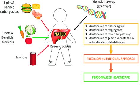 A Nutrigenomic Approach For Nonalcoholic Fatty Liver Disease Nafld