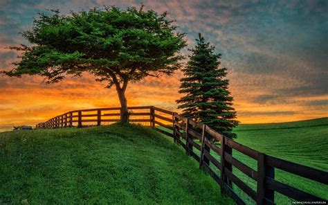 Download Summer Field Sunset Fence Nature Hd Wallpaper New By
