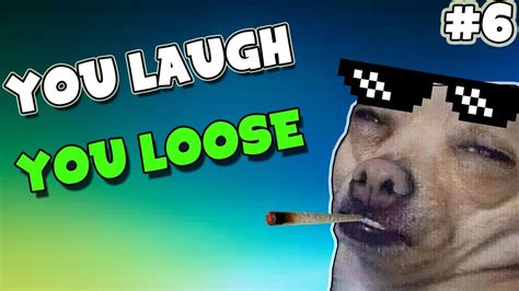 6 Try Not To Laugh Challenge Dank Memes Edition Ylyl Compilation
