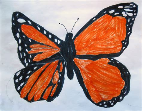 Art Class Ideas Butterfly Symmetry