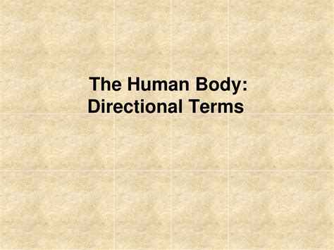 Ppt The Human Body Directional Terms Powerpoint Presentation Free