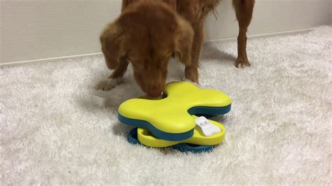 Dog Tornado Treat Dispensing Toy Wow Blog