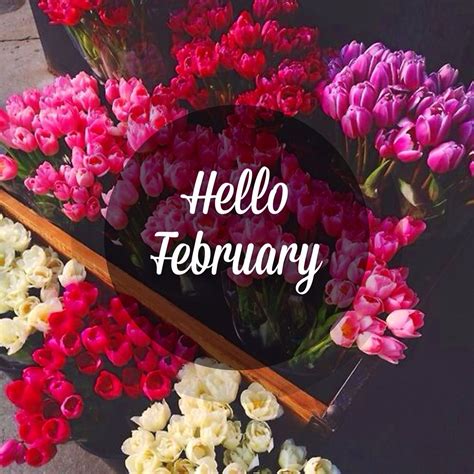 Hello February February Wallpaper February Valentines Happy February
