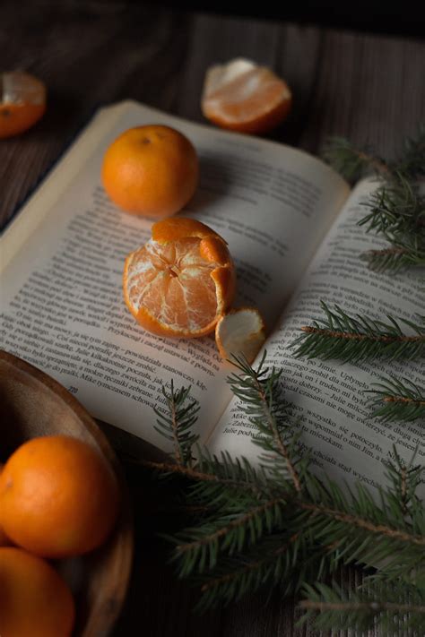 Tangerines Book Branches Spruce Fruit Citrus Hd Phone Wallpaper