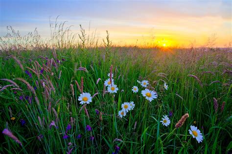 Meadow Sunrise By Doug Chinnery Redbubble