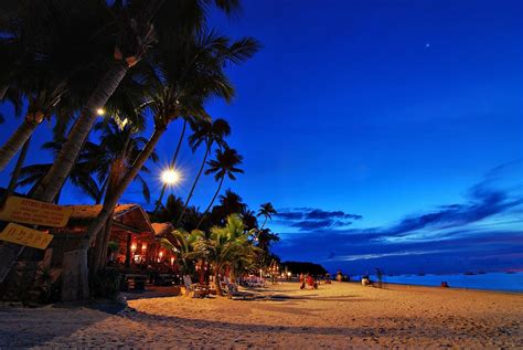 Wallpaper Sunset Sea Night Sky Beach Evening Coast Palm Trees