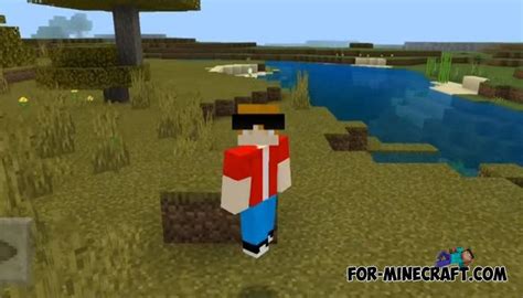Looking to download safe free latest software now. 4D Skins Addon for Minecraft PE 1.14+