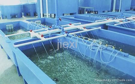 This gives you plenty of flexibility of. Fiberglass fish tanks (China Manufacturer) - Fishery ...