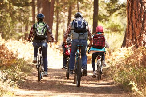 8 Actividades En Familia Para Hacer En Primavera Seguros Alpedrete