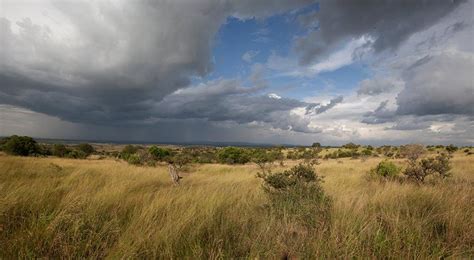 Serengeti National Park Safari Luxury Safari Tanzania Africa