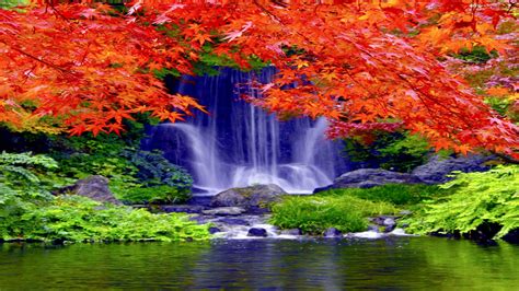Waterfall Forest Falls Nature Waterfalls Autumn Wallpaper