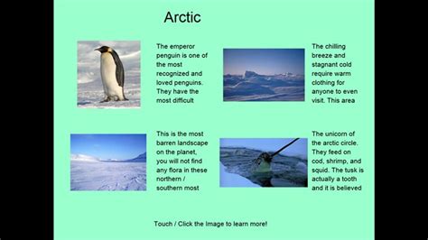 Four Arctic Ecosystem Facts For Windows 8 And 8 1