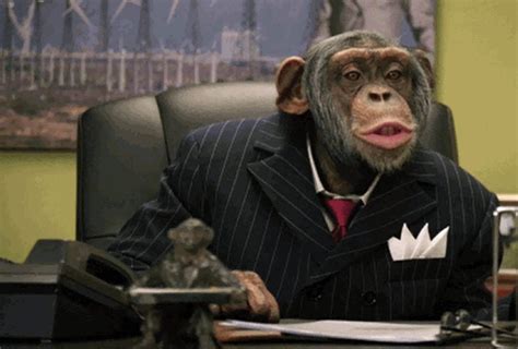 Chimp In A Suit Chimp Sneaky Animals Monkey Pictures