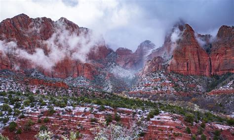 Winter In Zion National Park Everything You Need To Know Photos
