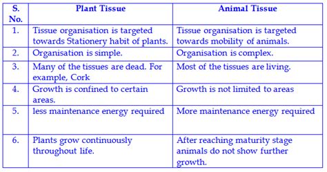 The similarity of these cell types ensures that the fundamental tasks of life are fulfilled, but the specific details animal cells contain centrioles, cilia and lysosomes, which help in organizing microtubules for cell division, aid in cell mobility, and digest macromolecules. different between the plant tissues and animal tissues ...