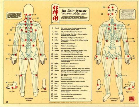 Jin Shin Jyutsu 26 Safety Energy Locks Acupuncture Benefits Massage