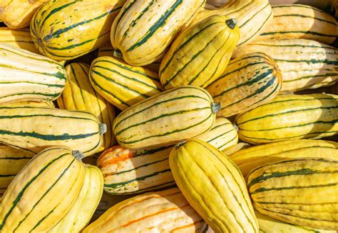 14 Types Of Squash Winter And Summer Squashes Southern Living