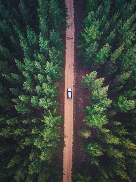 Hd Wallpaper Vehicle On Road Between Trees Aerial View Photo Of