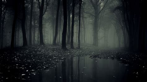 Haunted Forest Wallpaper Images