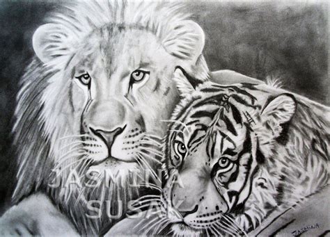 Liontiger By Jasminasusak Deviantart Com On Deviantart Tiger Drawing