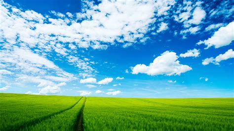 Background langit malam 12 background check all sumber : Background Langit Biru Hd - Rahman Gambar