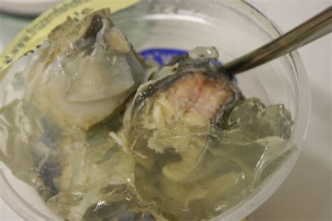 Conger Eel Served In Natural Jelly Grandads Cookbook
