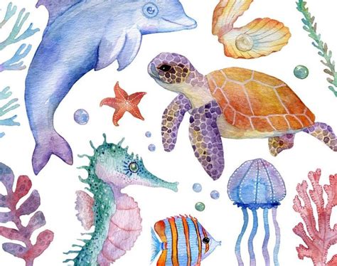 Watercolor Sea Graphics Under Water Clipart Sea Animals Etsy