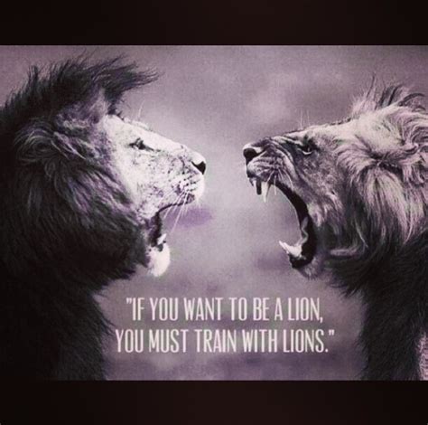The Burning Onespart Two Lion Quotes Warrior