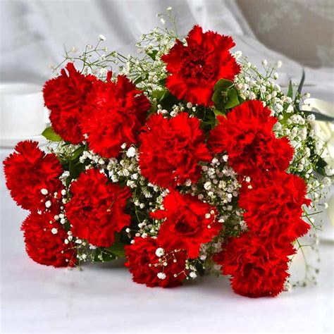 Send Red Carnation Bouquet With Babys Breath A3986 Flower Delivery