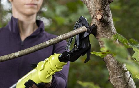 New Ryobi Cordless Lopper For Pruning Branches Toolkit