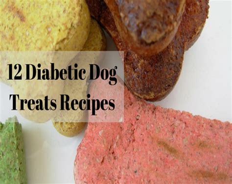 15 Great Diabetic Dog Treat Recipes Easy Recipes To Make At Home