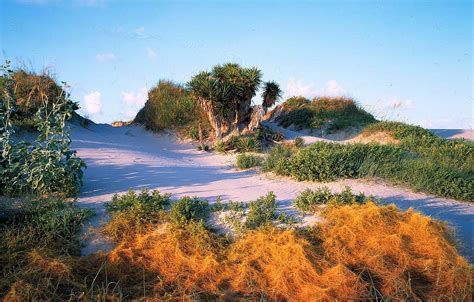 We did not find results for: Matagorda 2021: Best of Matagorda, TX Tourism - Tripadvisor