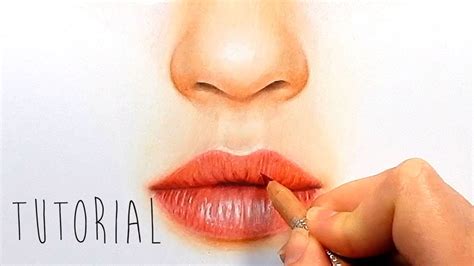 This is a short tutorial on how to draw lips for beginners. Tutorial | How to draw, color realistic lips with colored ...