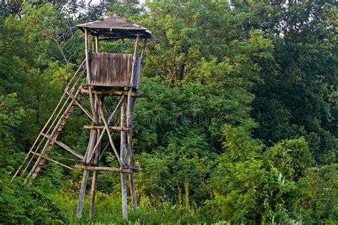 Bird Watch Tower Stock Image Image Of View Wild Watching 15609267